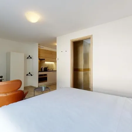 Furnished Studio #006 - Swiss * אייגל